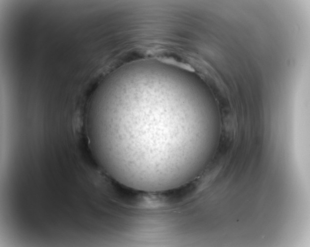 X0000088420372200706051216