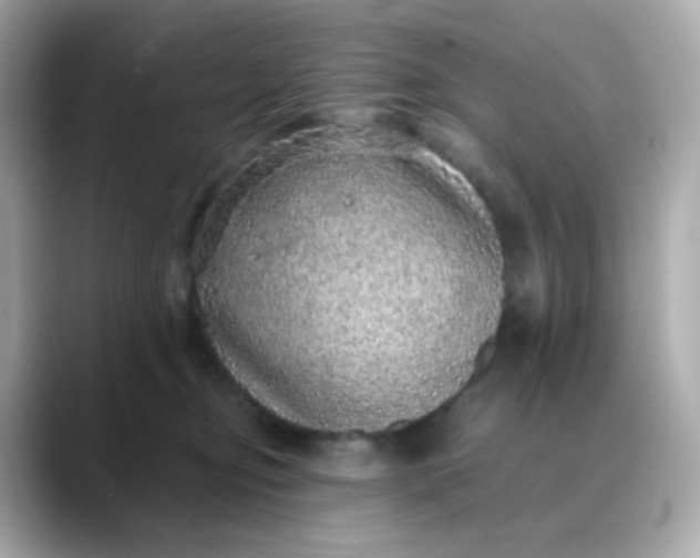 X0000088420374200706051216