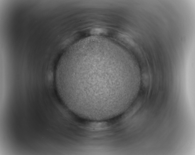 X0000088420375200706051216