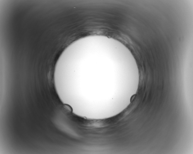 X0000088420377200706051216
