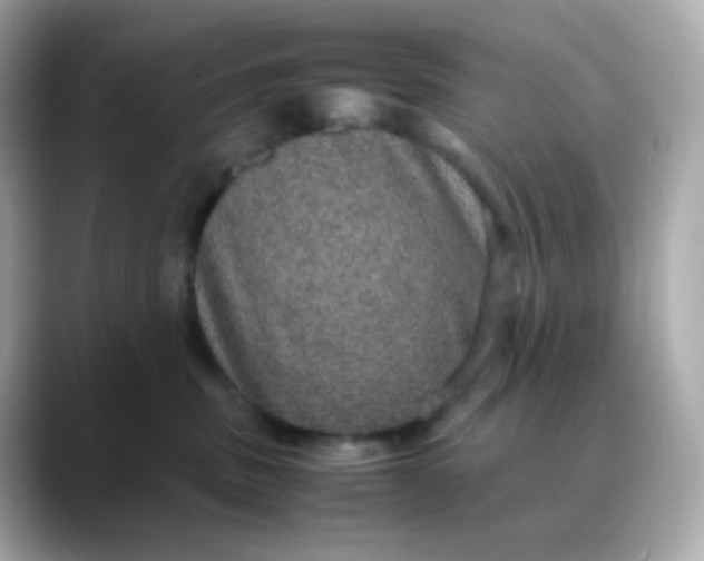 X0000088420379200706051216
