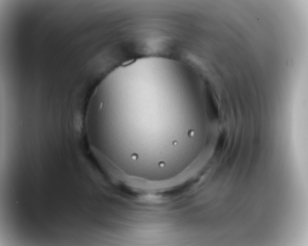 X0000088420380200706051216