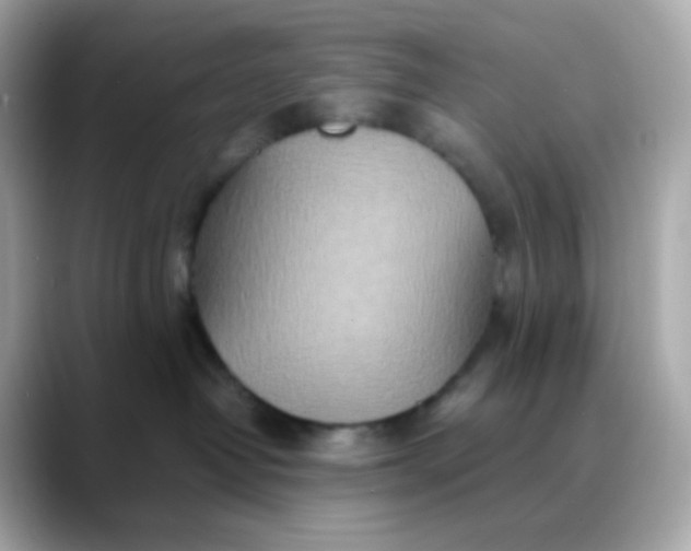 X0000088420382200706051216