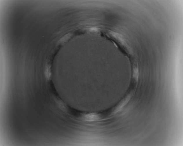X0000088420383200706051216