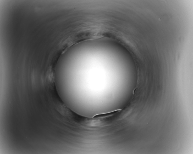 X0000088420384200706051216