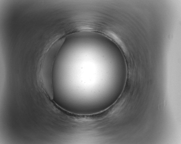 X0000088420385200706051215