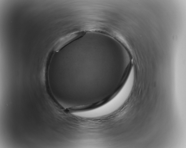 X0000088420387200706051215
