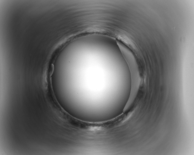 X0000088420388200706051215