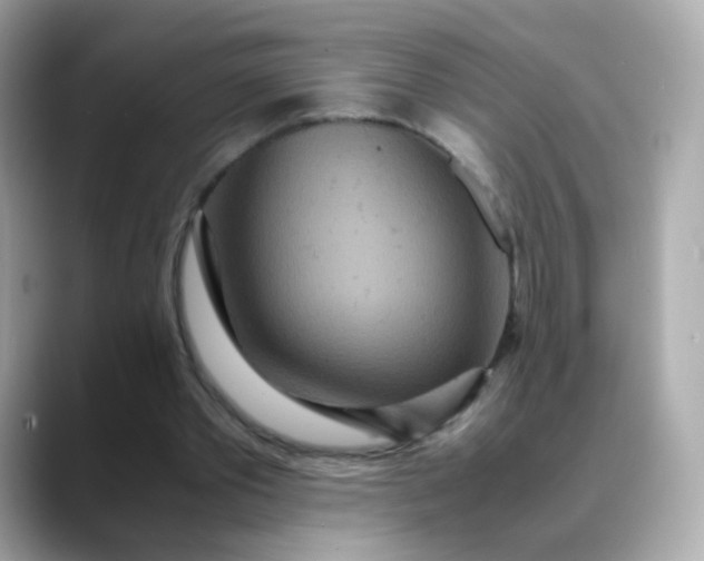 X0000088420389200706051215