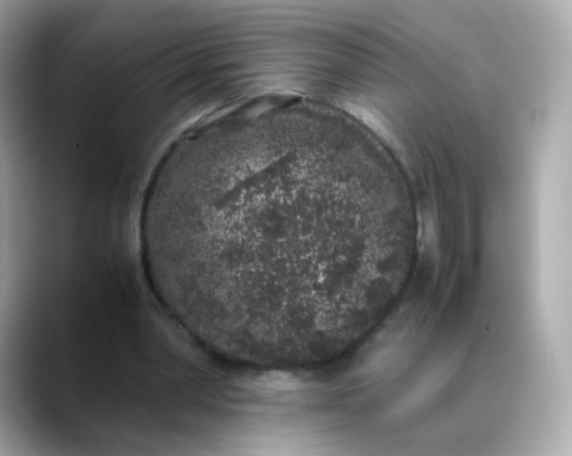 X0000088420390200706051215