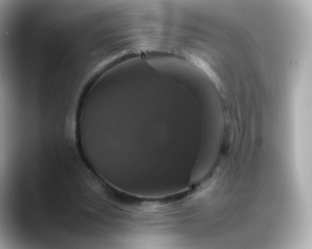 X0000088420391200706051215