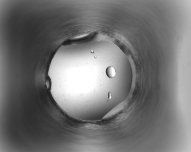X0000088420393200706051215