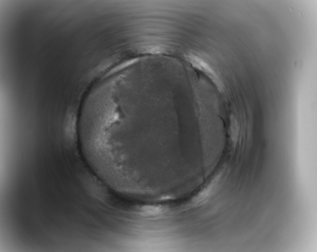 X0000088420394200706051215
