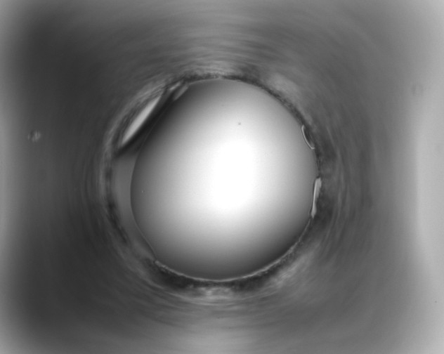 X0000088420395200706051215