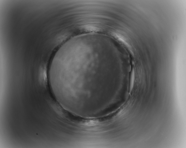 X0000088420398200706051215