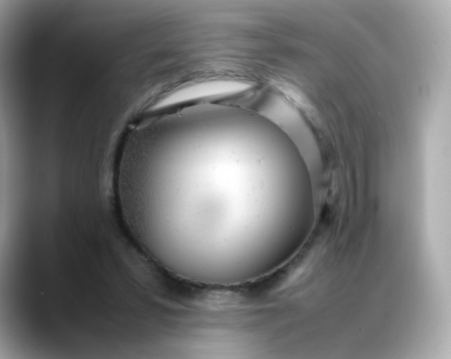 X0000088420399200706051215