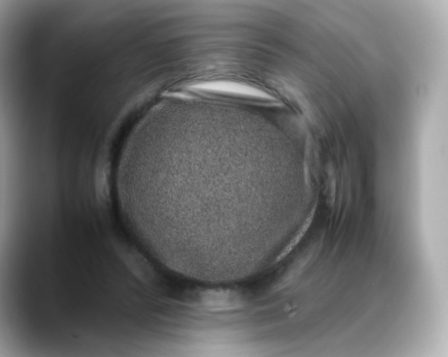 X0000088420400200706051215