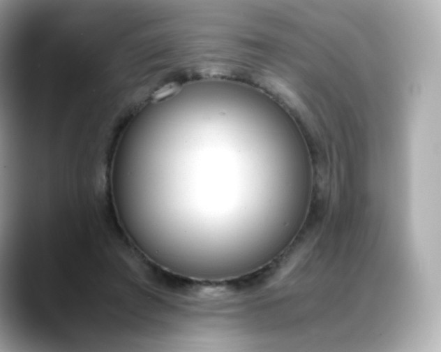 X0000088420401200706051215