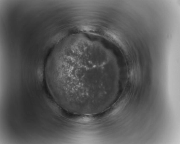 X0000088420402200706051215