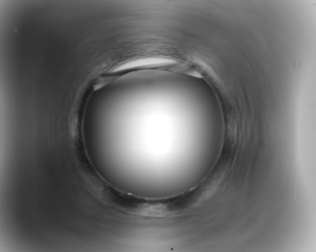 X0000088420403200706051215