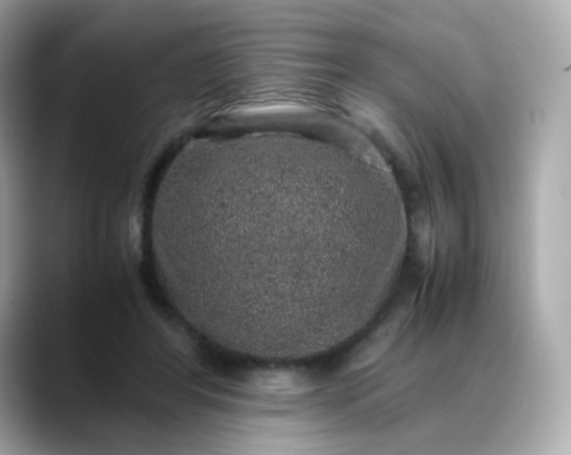 X0000088420404200706051215