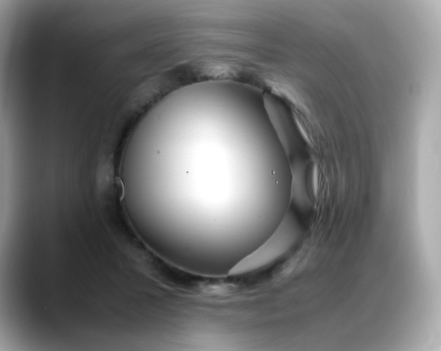 X0000088420407200706051215