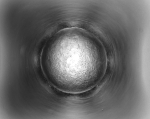 X0000088420408200706051215