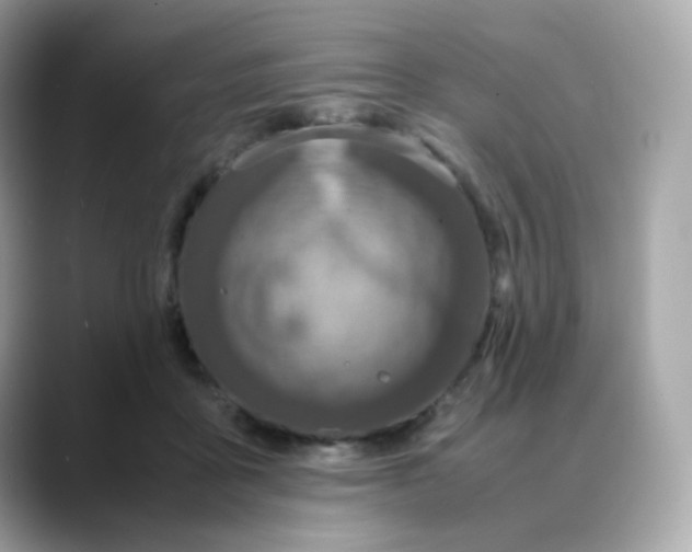 X0000088420411200706051215