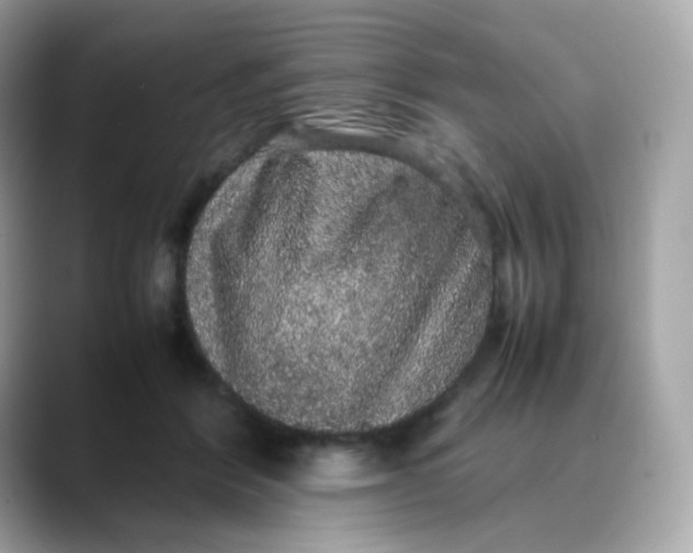 X0000088420412200706051215