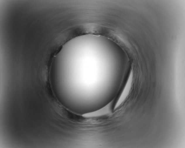 X0000088420413200706051215