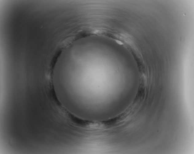 X0000088420415200706051215