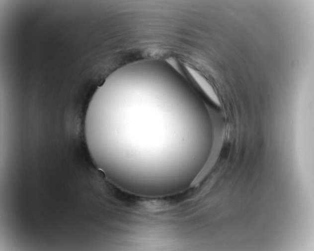 X0000088420417200706051215