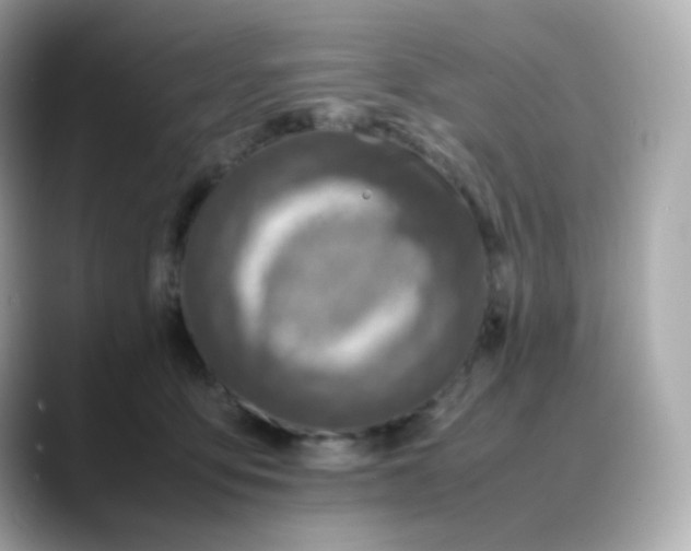 X0000088420419200706051215