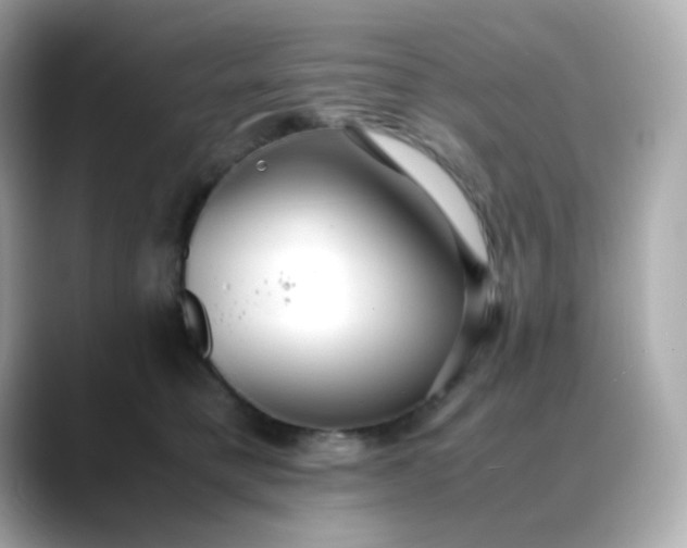 X0000088420421200706051215