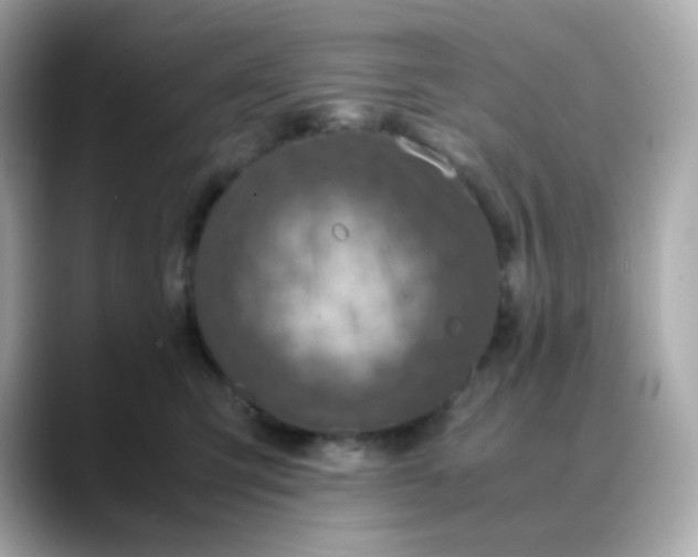 X0000088420423200706051215