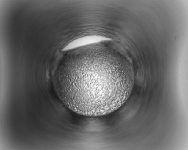 X0000088420424200706051215