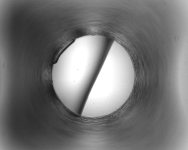 X0000088420425200706051215