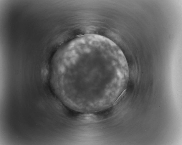 X0000088420427200706051215
