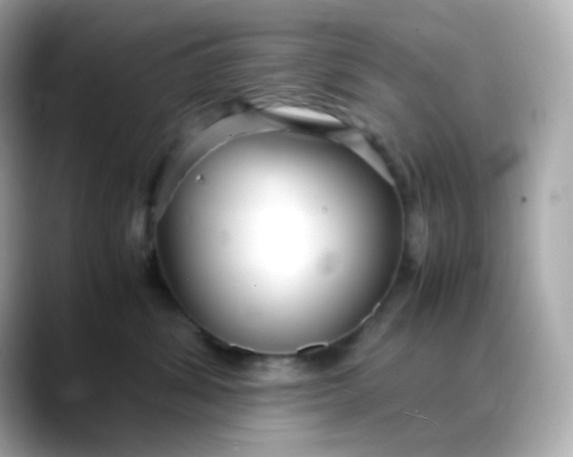 X0000088420428200706051215