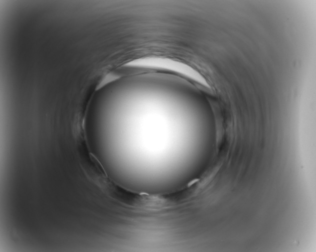 X0000088420429200706051215