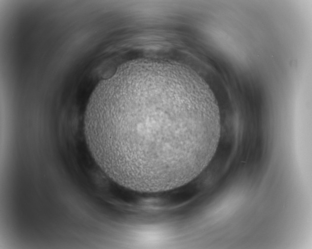 X0000088420430200706051215