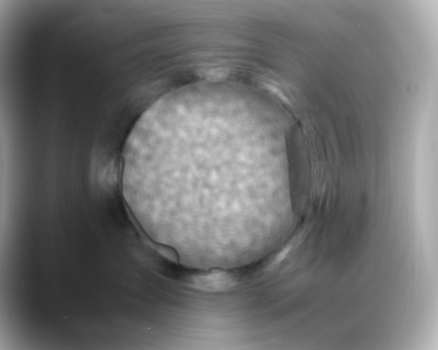 X0000088420431200706051215