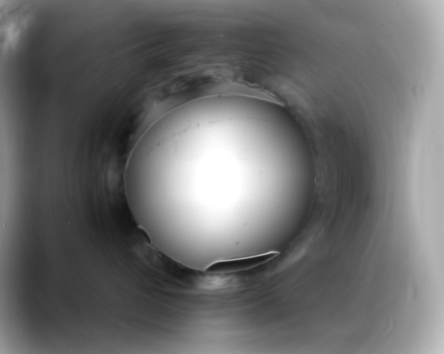 X0000088420432200706051215