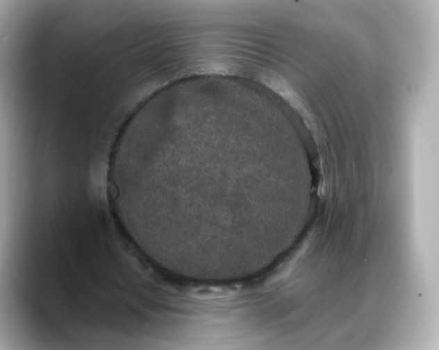 X0000088420434200706051214