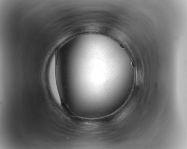 X0000088420435200706051214
