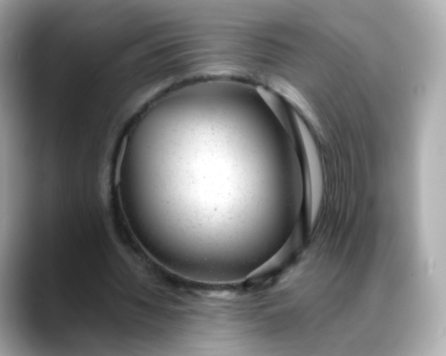 X0000088420436200706051214