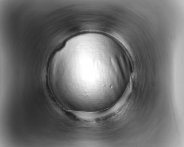 X0000088420437200706051214