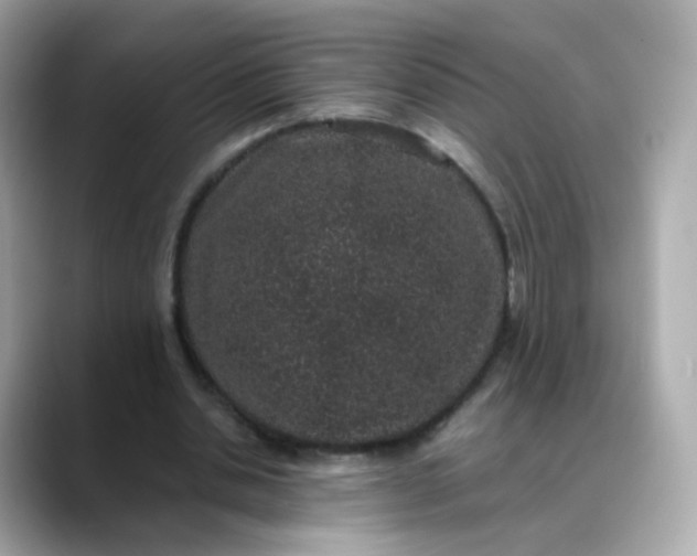 X0000088420438200706051214
