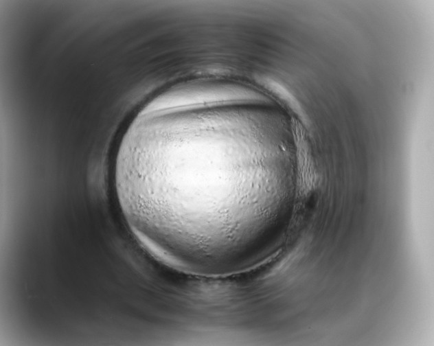 X0000088420439200706051214