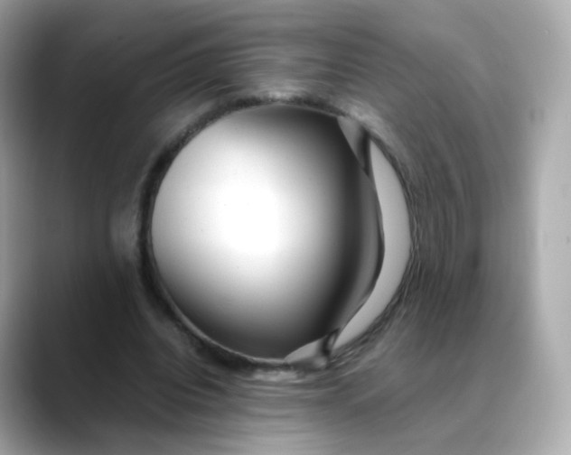 X0000088420440200706051214